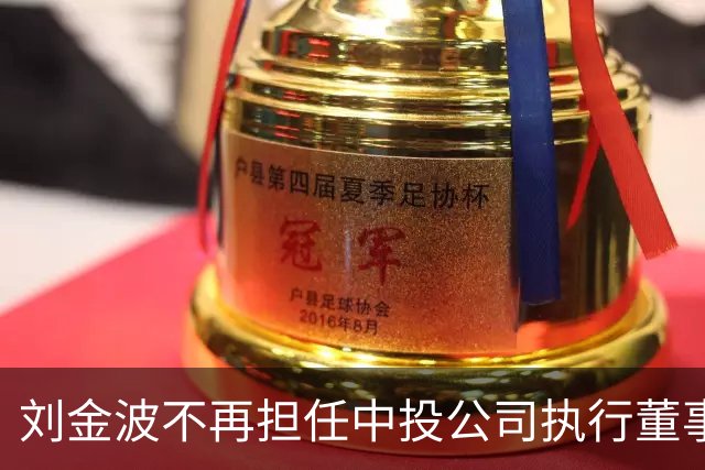 刘金波不再担任中投公司执行董事：国务院的连续人事调整